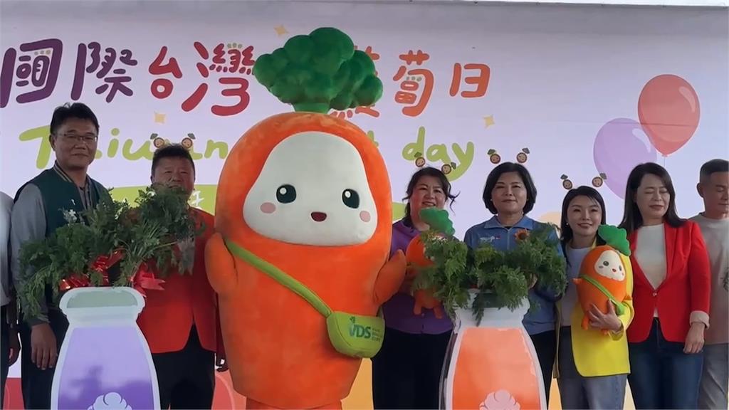 萬人拔胡蘿蔔雲林登場 拔出「五色」胡蘿蔔超驚喜!