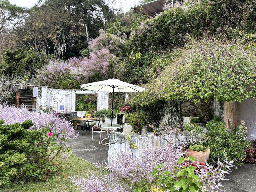 嘉義瑞里紫藤花開3成!賞花地點、活動資訊及停車資訊一次看