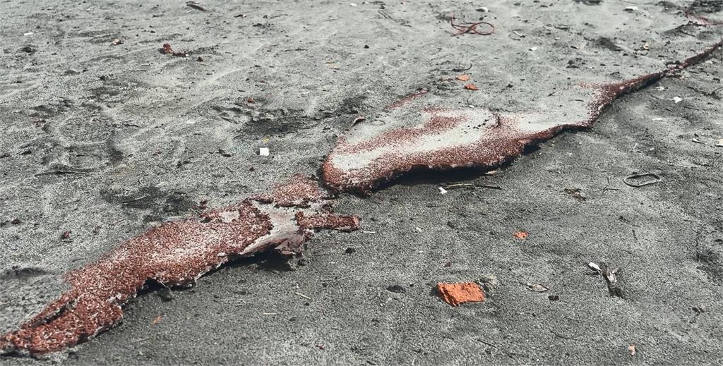 光復國中女足隊設備全毀 跨縣市募資給小選手送暖