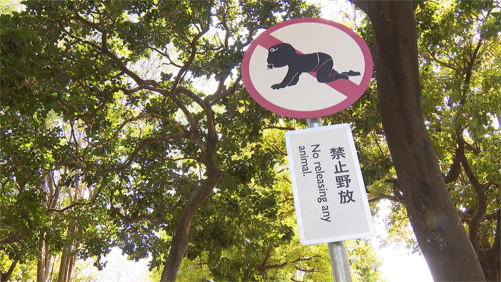 小心會吃到鳥的排泄物! 高雄美術館創意告示牌「禁捧腹大笑」