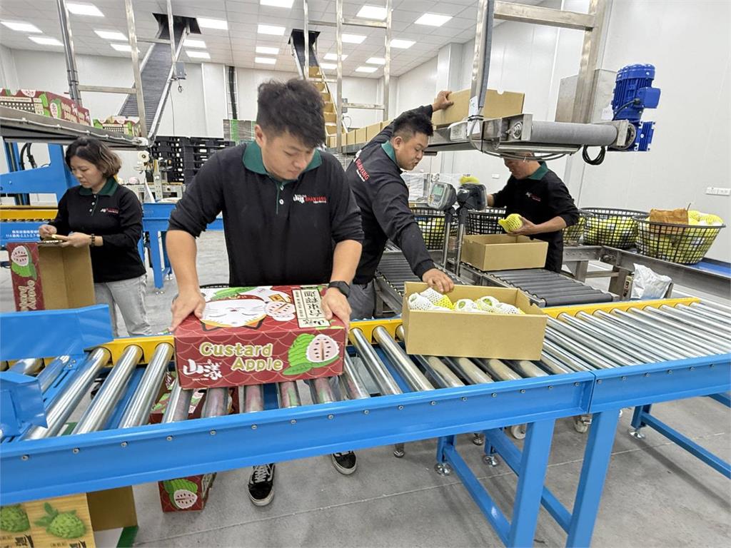 台東鳳梨釋迦「內銷調節」及「外銷獎勵」啟動  立委陳瑩、莊瑞雄要求農業部緊盯產地