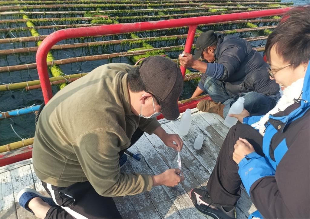 台南抽檢未上市水產 城西周邊水產與水質均合格