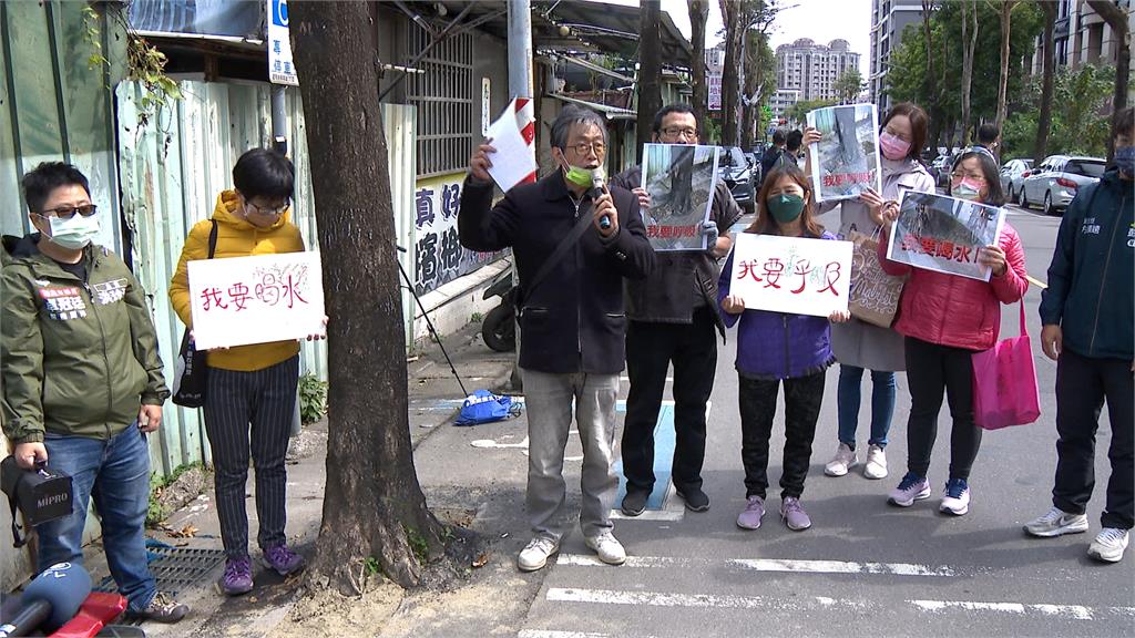 新北土城柏油蓋住路樹植穴 護樹團體控新北市府”虐樹”