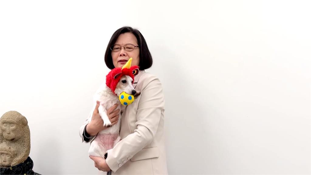 綠營「喘說對決」狂揪爬山、PK體力!蔡英文「揹娃負重」網震撼:竟然不喘