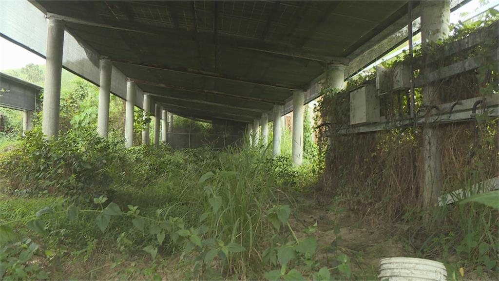 圖 一片荒蕪！台南六甲光電廠成廢墟　農電共生