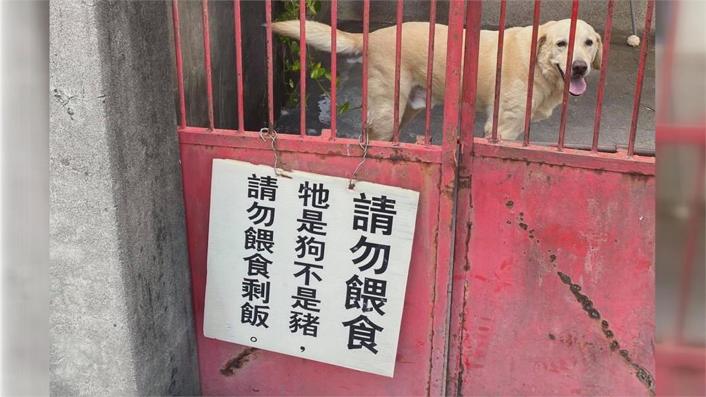 屢勸不聽！惡鄰居丟廚餘餵狗　屋主告誡她躲死角繼續丟