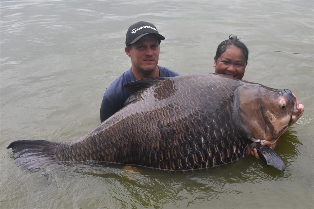 英國釣客捕到「114公斤鯉魚王」！破世界紀錄「4男扛不住」畫面曝光