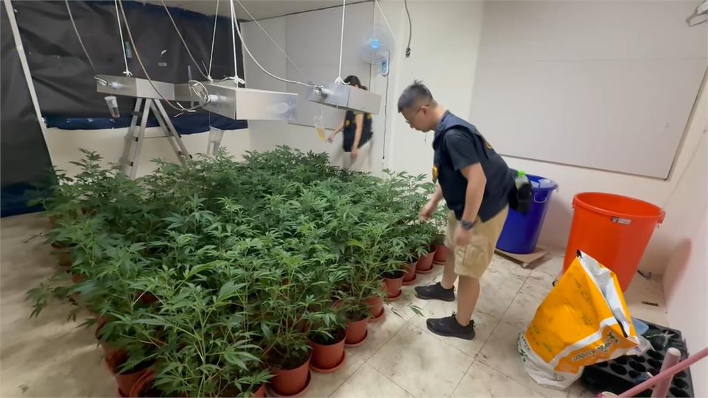 手搖飲店藏大麻農場 水電背景嫌犯偷電 台電求償破百萬