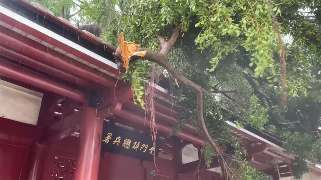 狂風暴雨！大片屋頂空中飛　金門總兵署百年老樹被吹斷