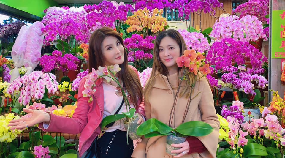 國標舞女王劉真49冥誕!摯友楊麗菁發合照懷念:想念你…最惆悵的季節
