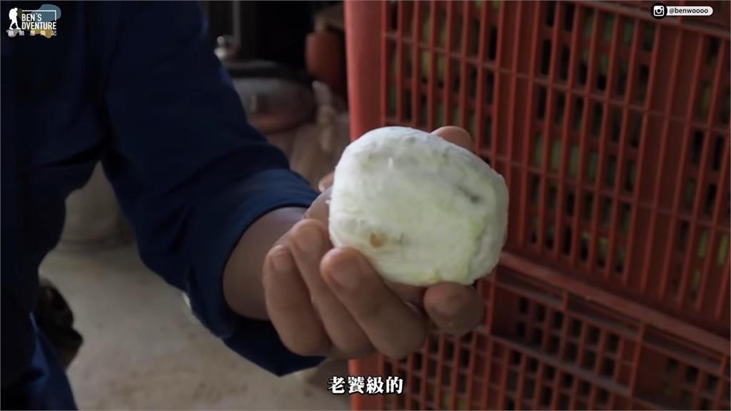 中秋佳節將至!挑選文旦有撇步 柚農曝「小顆、不起眼」才是老饕最愛