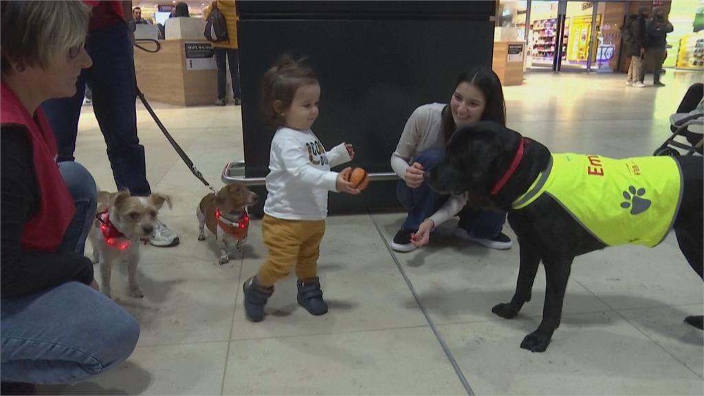 德國柏林機場大量狗狗　和小朋友互動減少搭機焦慮