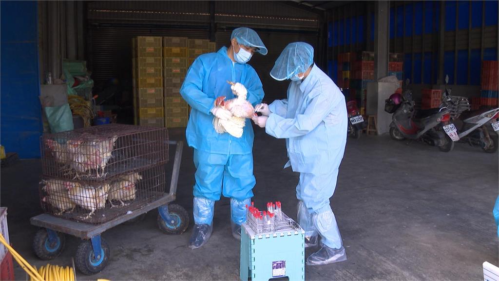 異言堂／毛孩夯「這類」獸醫竟喊缺：永遠補不滿 食安恐陷風險