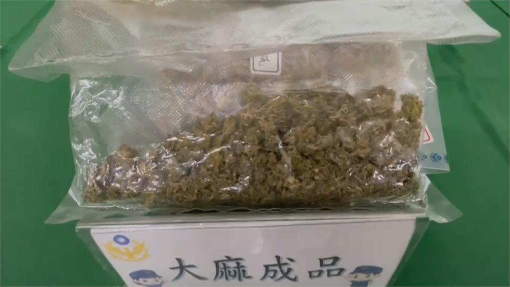 走偏的斜槓人生 百坪蘭花園改種大麻被查獲