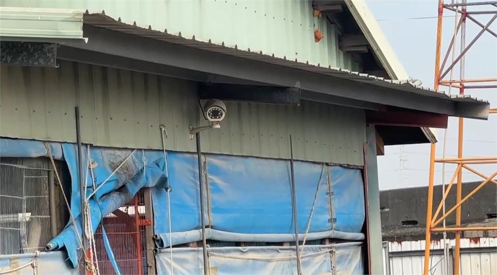 土雞大盜押起來！雲林偷雞集團偷近700隻雞　300元賤賣