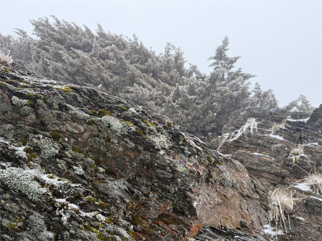 快新聞/玉山再度降雪變「夢幻銀白世界」! 浪漫飄雪畫面曝光