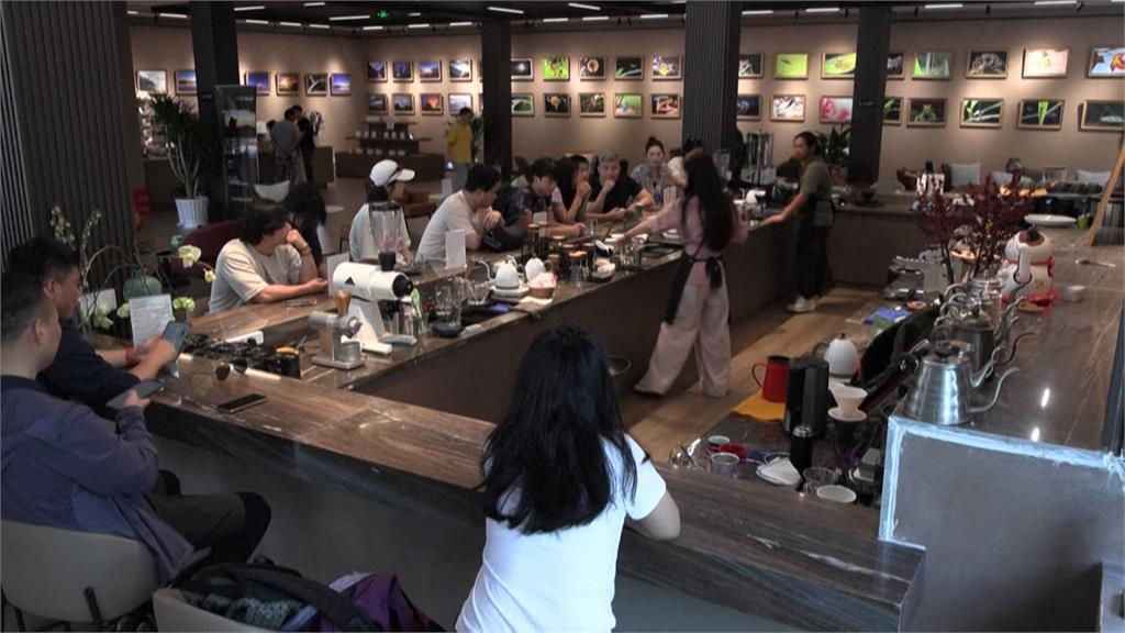 不只普洱茶! 雲南盛產「咖啡豆」農民拓展精品市場