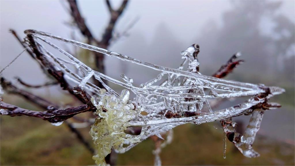 快新聞/氣溫下探0度未飄雪 宜蘭太平山「日出美景」曝光