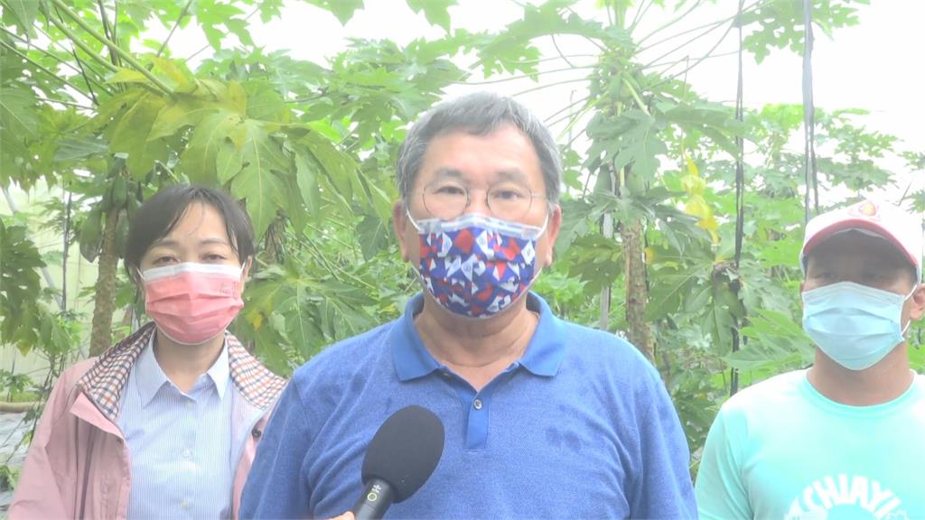 水上鄉木瓜、香瓜全泡爛　翁章梁盼中央盡快核發補助