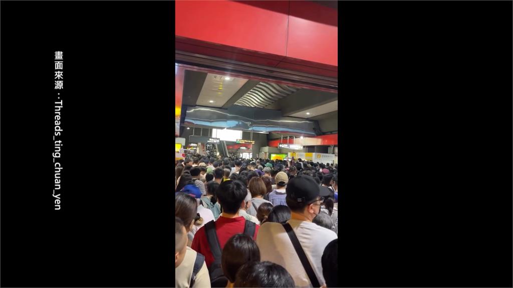 大象來了！民眾擠爆士林亂象多　踩踏花圃﹑疏散動線亂