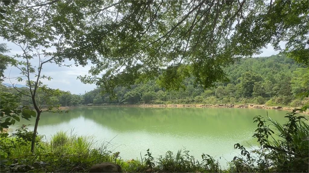 埔里版「天使眼淚」! 神秘鬼湖變碧綠美景