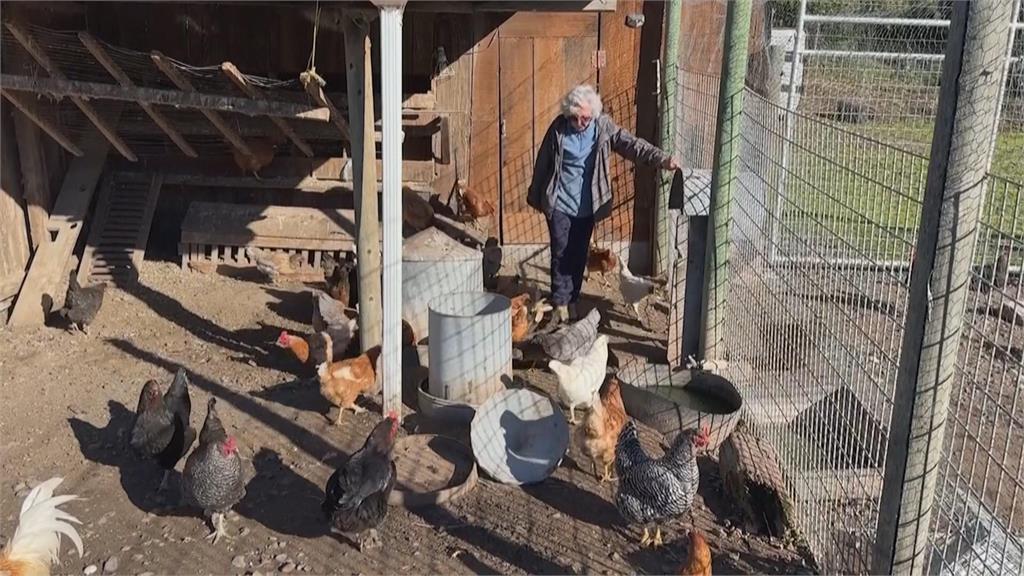 美首例H5N1重症病患驗出變異病毒　幸尚無人傳人