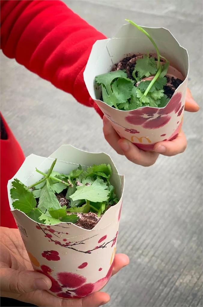 中國速食店推「香菜冰旋風」連賣5天!網一看秒崩潰:挺不下去