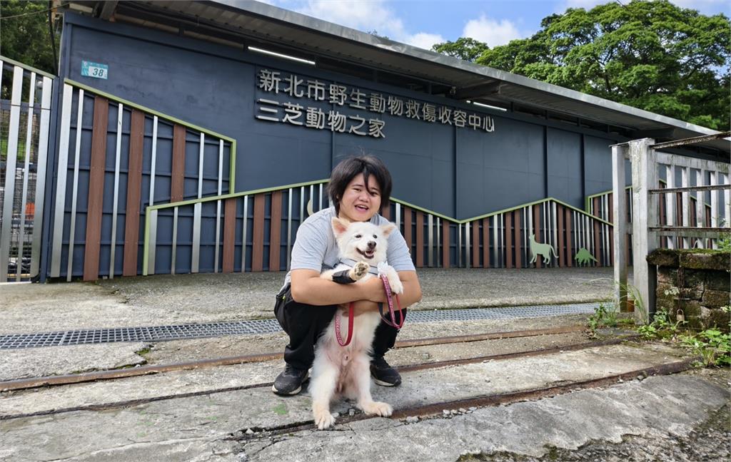 快新聞／好暖！流浪狗腳骨折徘迴路邊　經動保員悉心照顧重新信任人類
