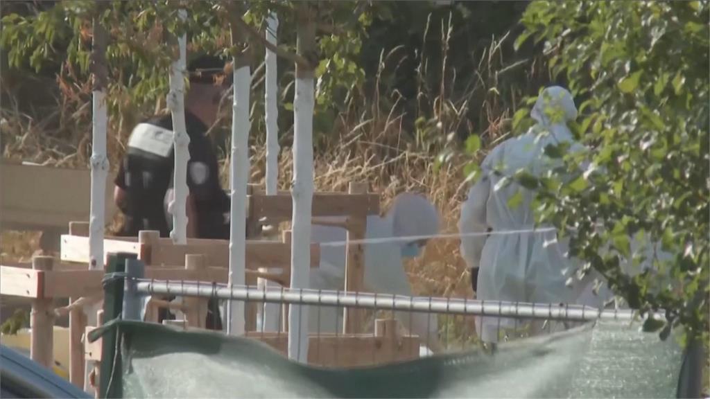 國際一連兩起重大空難　中東、法國墜機事故奪25條人命