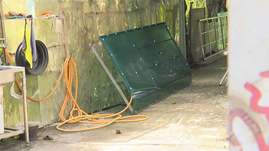 飼主控訴愛犬遭隔壁工人殺害「雙方各執一詞」 動保處介入調查