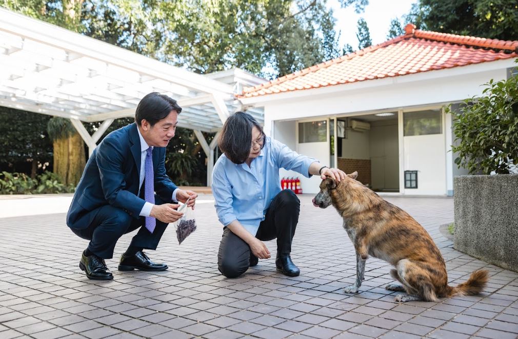 快新聞／蔡賴會有彩蛋！親探總統愛犬「斑斑」　小英嗨喊：笑起來很好看