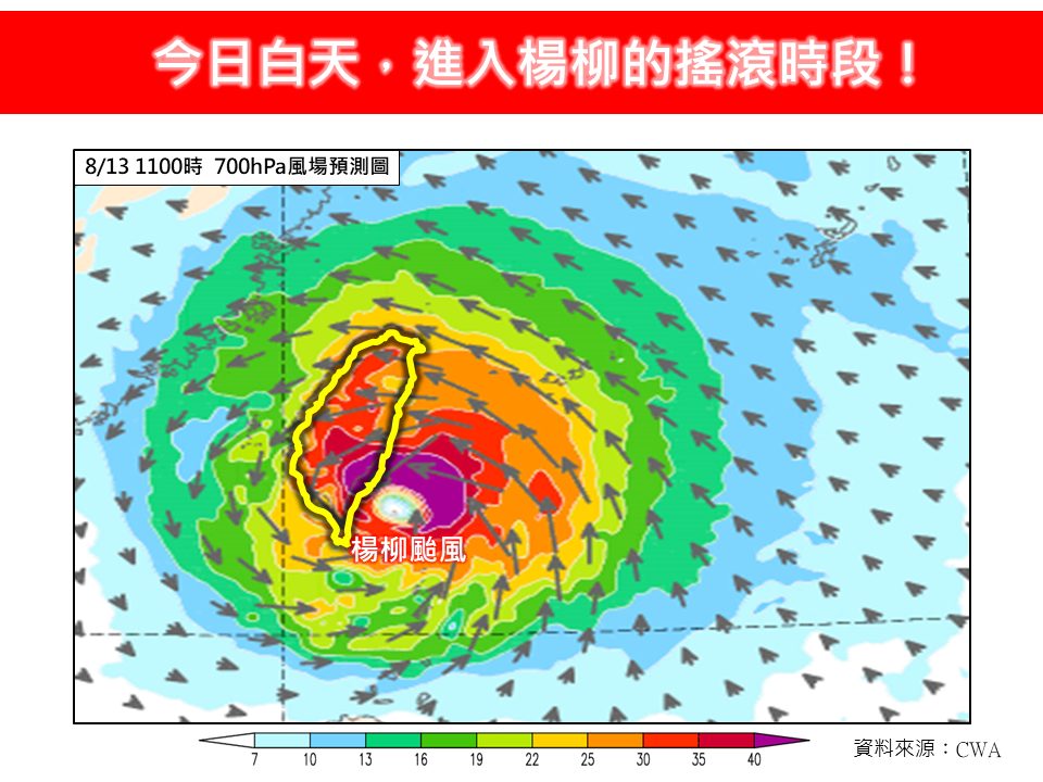 楊