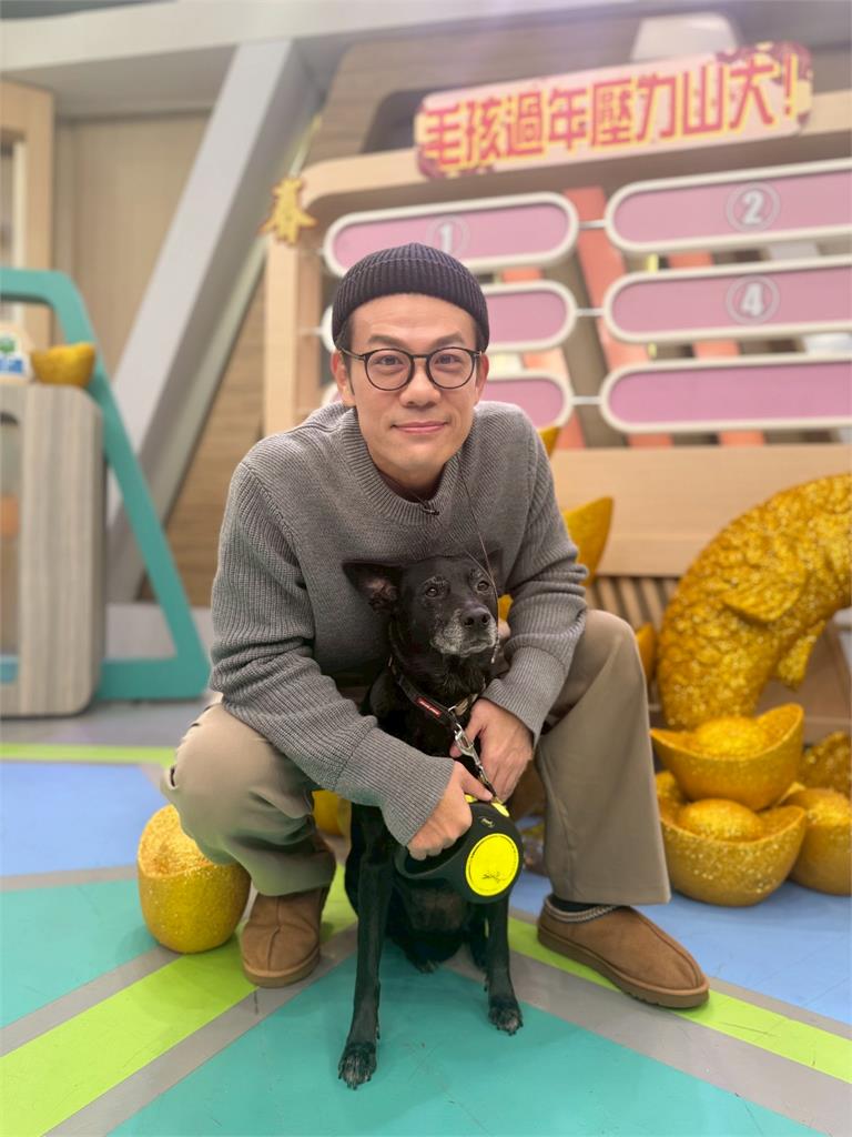 陳志強愛犬一到過年放煙火！嚇到失控「挫屎」