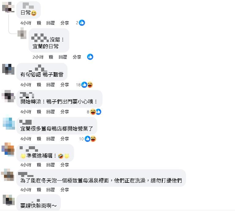 誰家的鴨子跑出來了!宜蘭暴雨「鴨群霸路」畫面曝 按喇叭也沒反應