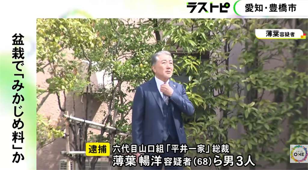 山口組大佬賣盆栽被捕！警抓包「變相收保護費」勒索八旬翁手法曝光