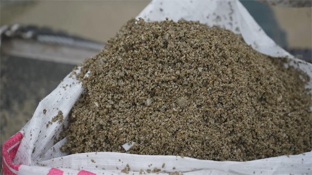 撈不完! 外木山漁港漂火山浮石 嚴重影響漁民作業