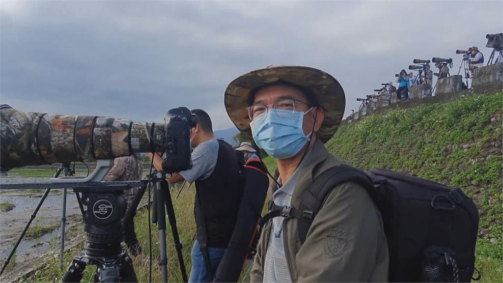 金山小白鶴重返台灣? 宜蘭現蹤引鳥迷熱議