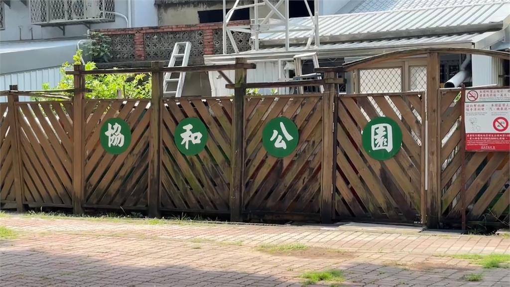協和公園浪貓全消失? 議員爆「有人餵毒」害死數十隻
