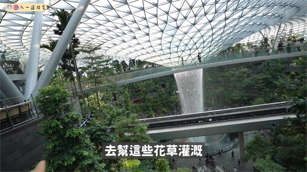 全球最高室內瀑布！他們參觀樟宜機場著名地標　讚嘆像「虛擬城市」