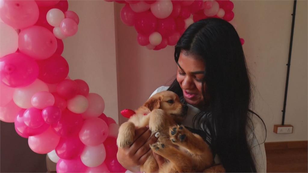 印度瑜伽班拯救被棄養狗狗　情人節一起開心上課