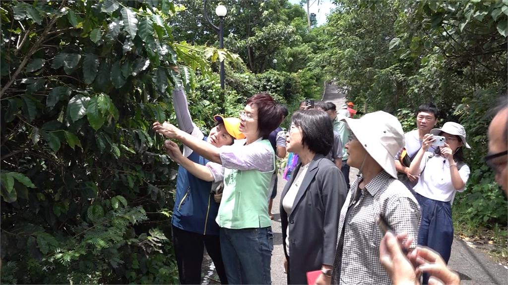 蟲蟲危機! 琉璃蟻版圖擴張入侵民宅