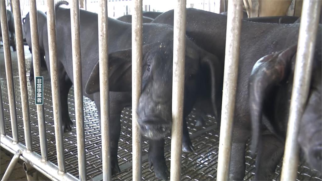 國1五股交流道改善工程　提前竣工北出匝道今16時通車