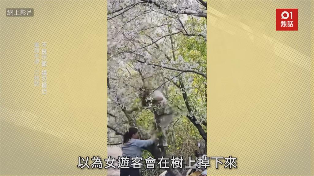 無法起身！　中國社群瘋傳怪遊戲「盤腿爬杆子」男報警求救