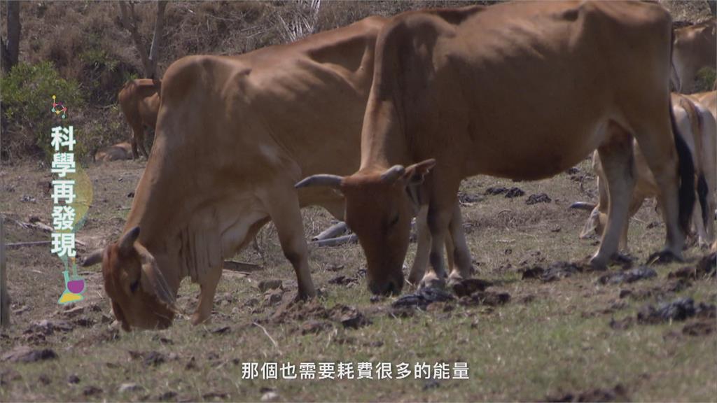 糧食生產影響溫室氣體排放 專家教你健康吃