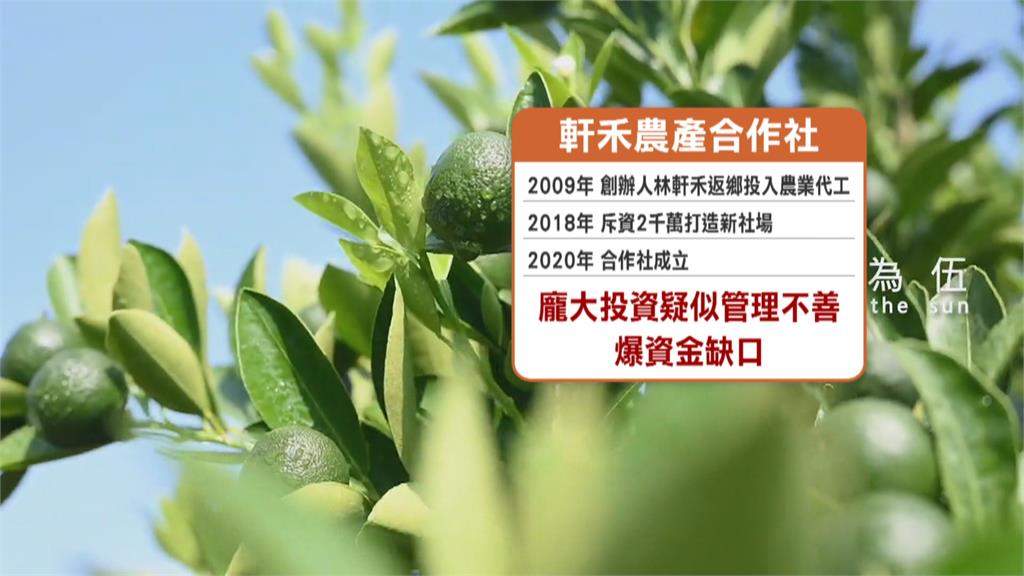 軒禾農產合作社倒閉!負責人失聯 農糧署證實:協助農民轉社