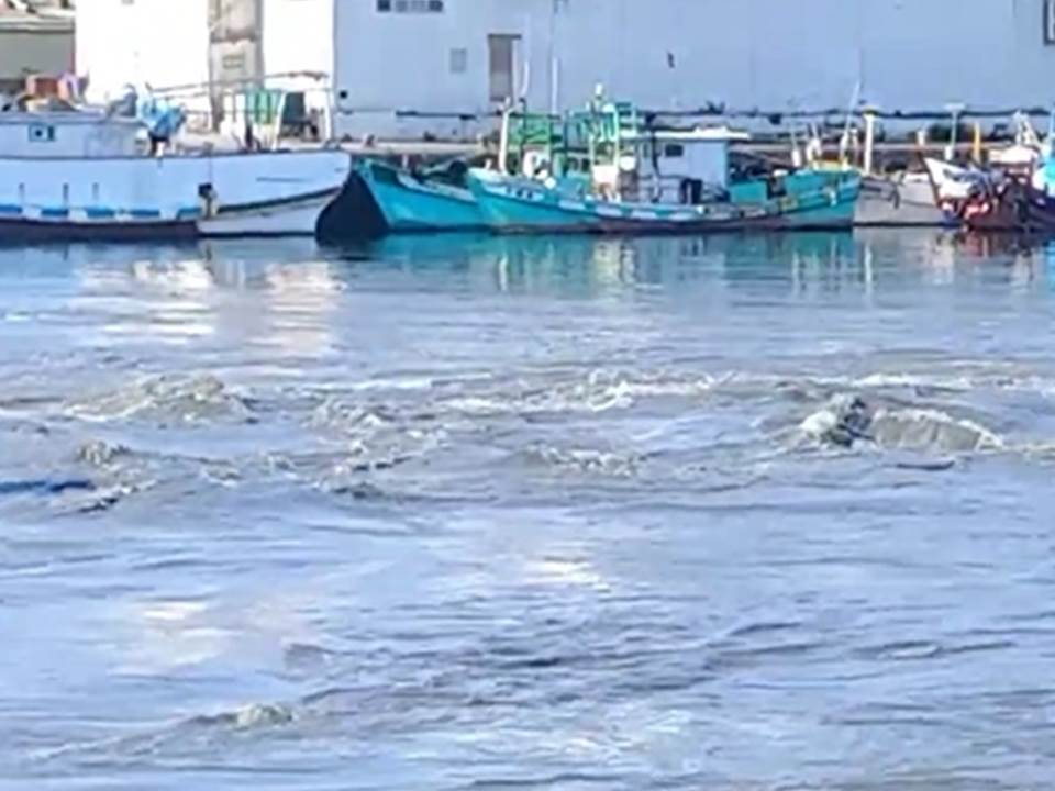 快新聞/規模7.2強震!花蓮港「海水倒灌進港」 民眾驚呼:真的好可怕