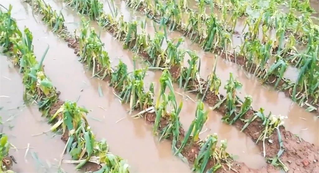 冰雹暴風雷雨輪番上陣！　中國遼寧、河南、甘肅傳災情