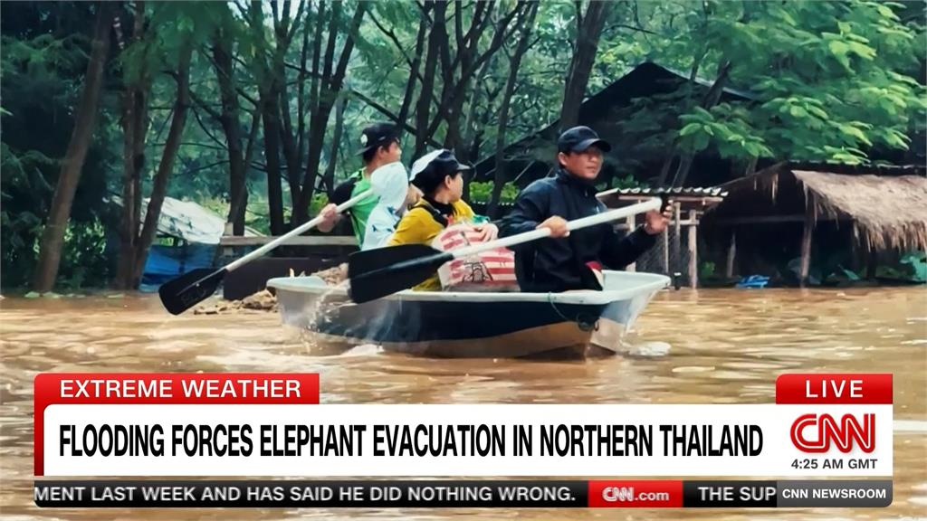泰國季風雨季淹水災情嚴重 清邁自然公園急撤上百隻大象
