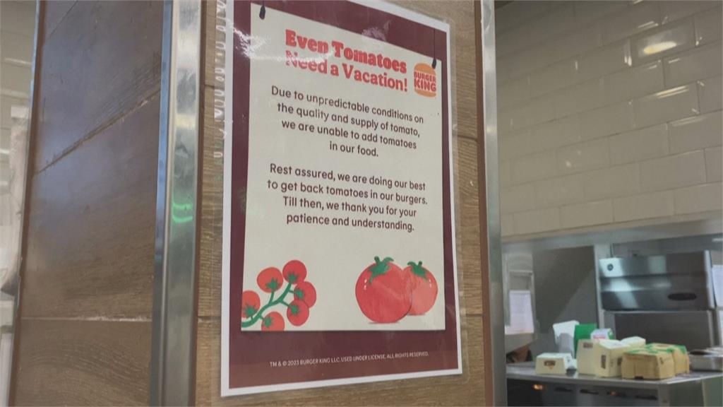 洪災番茄歉收價格飆漲扛不住　印度漢堡王菜單移除番茄