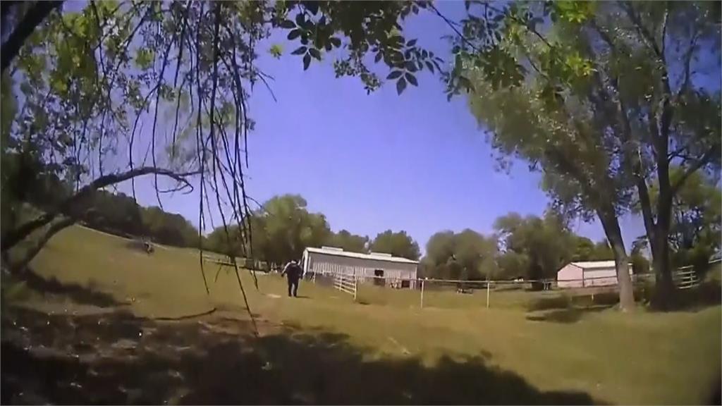 哭笑不得!農場附近聽見「求救聲」 美警方火速救援只見山羊在叫